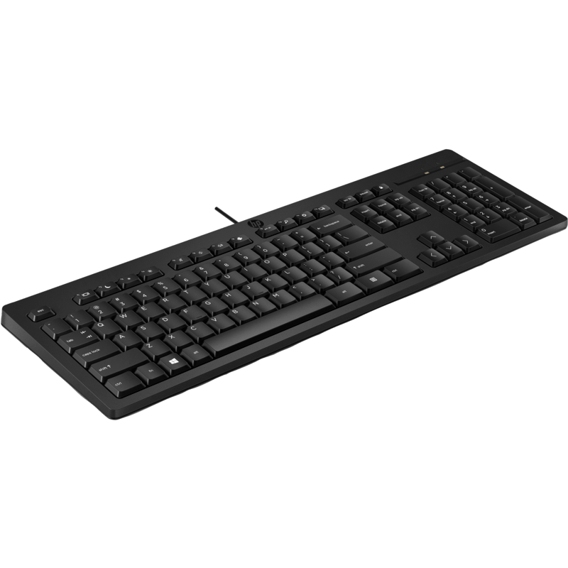 HP 125 Wired Keyboard 266C9AA atomoffice
