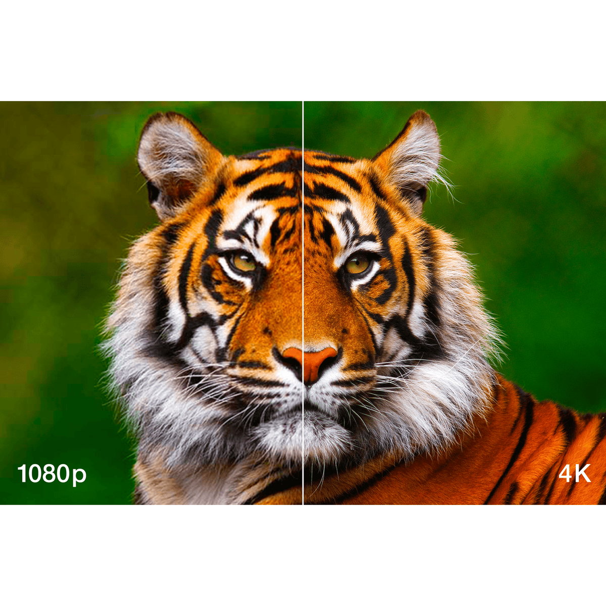 Epson EH-LS11000W 4K 3LCD Laser Home Cinema Projector, 2,500 Lumens V11HA48040 atomoffice