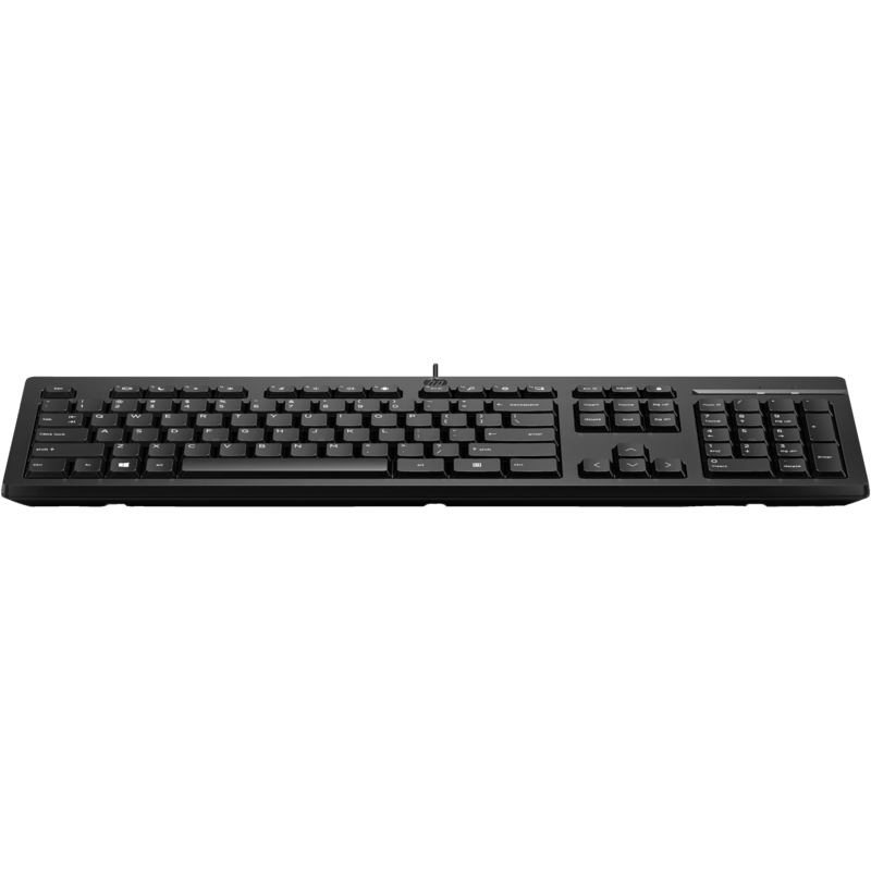 HP 125 Wired Keyboard 266C9AA