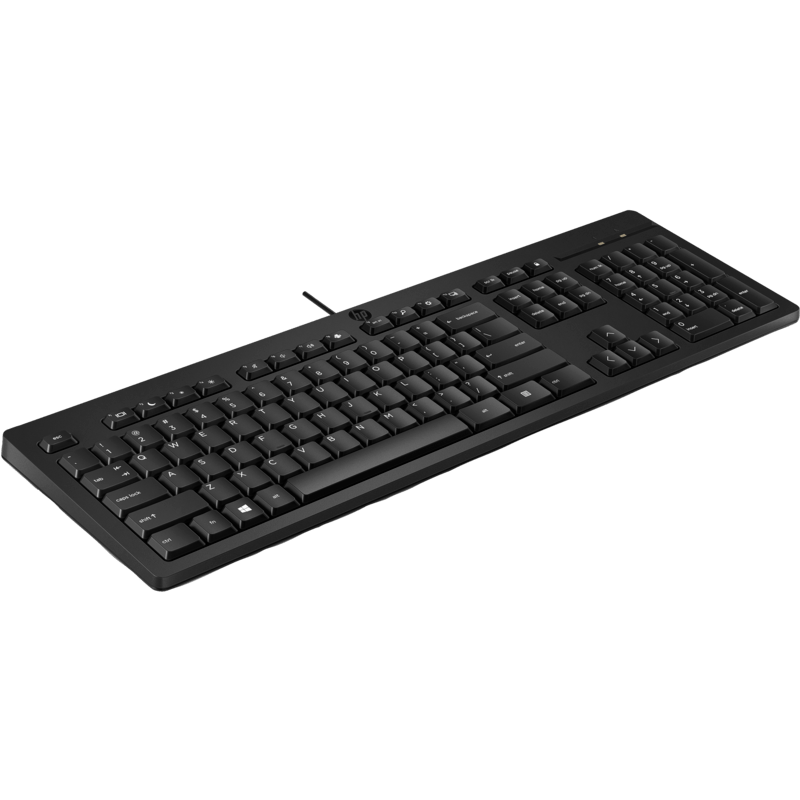 HP 125 Wired Keyboard 266C9AA