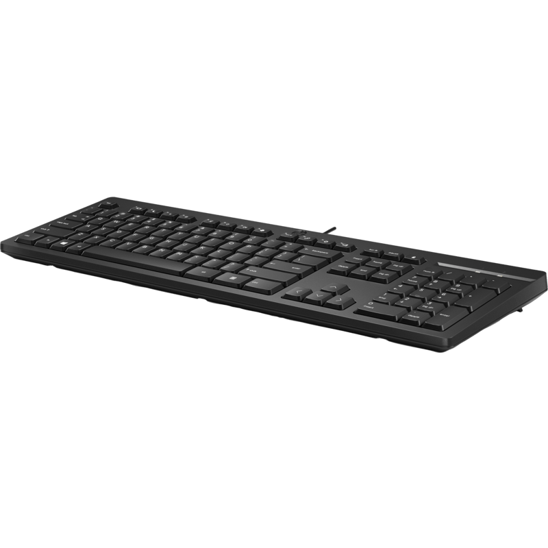 HP 125 Wired Keyboard 266C9AA